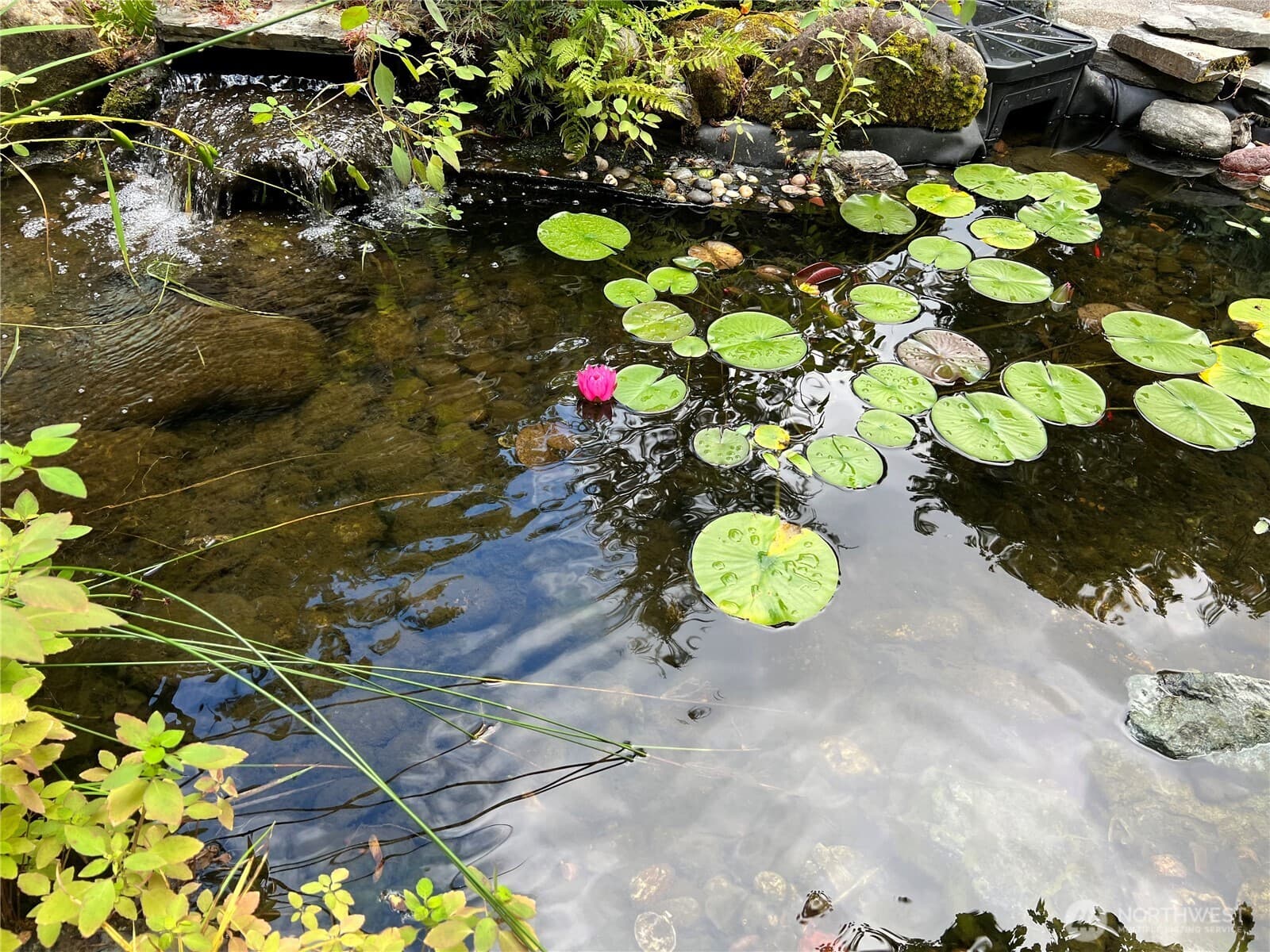 Property photo 38