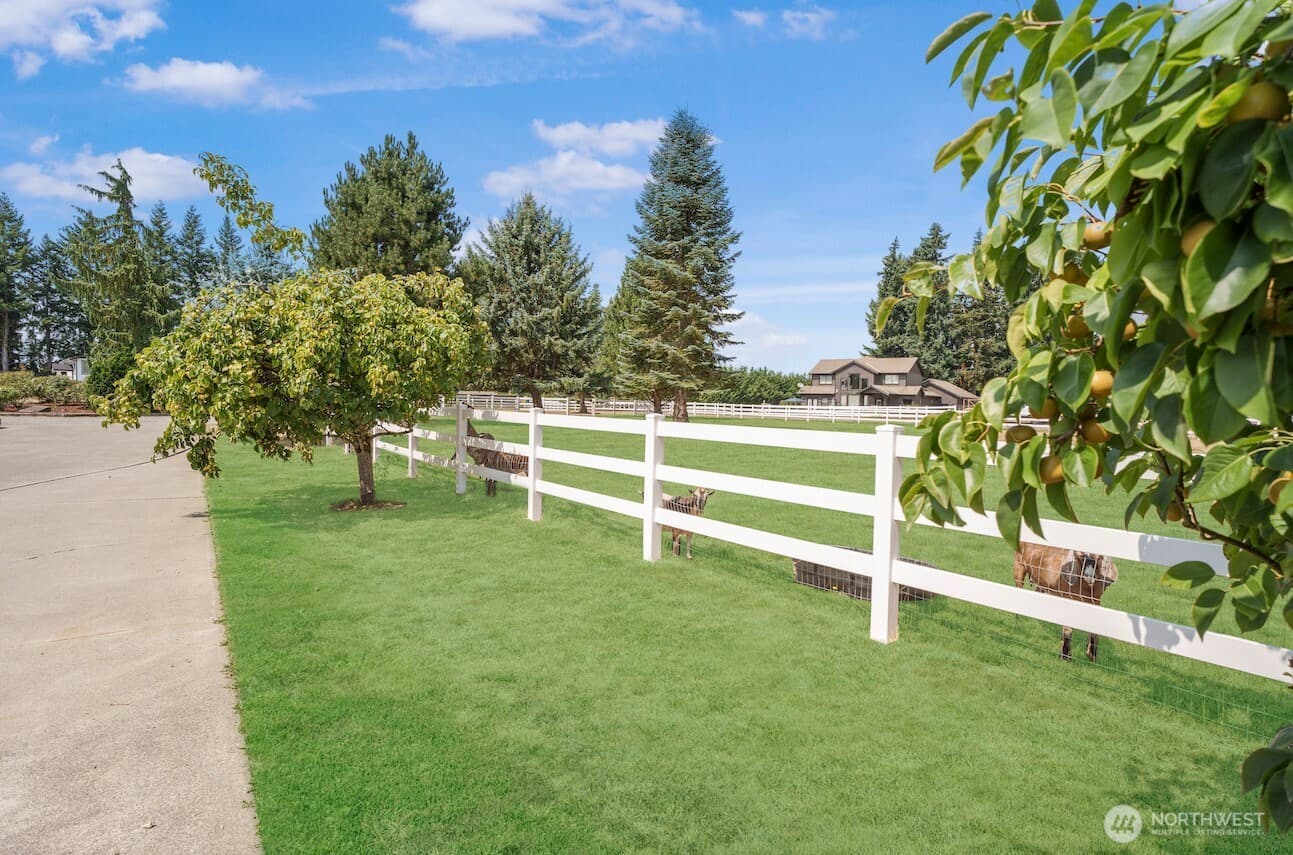 Property photo 39