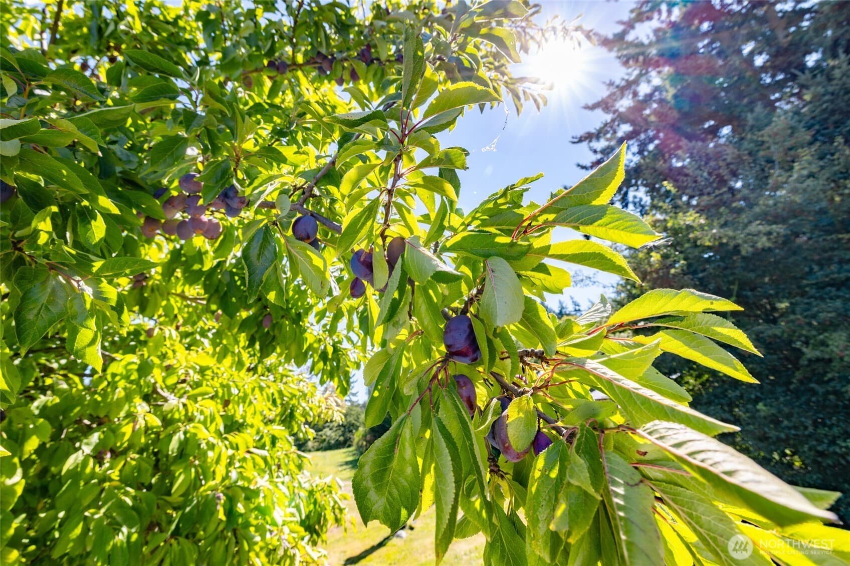 Property photo 39