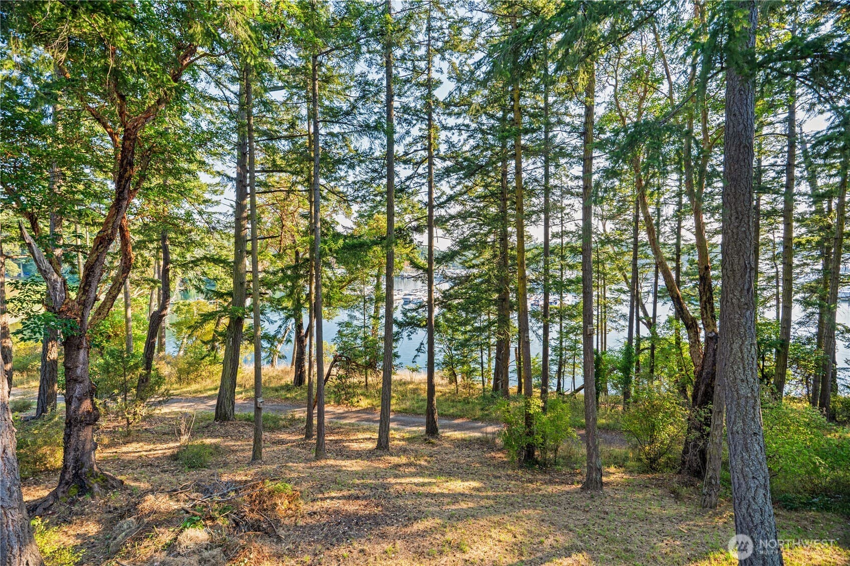 Property photo 26
