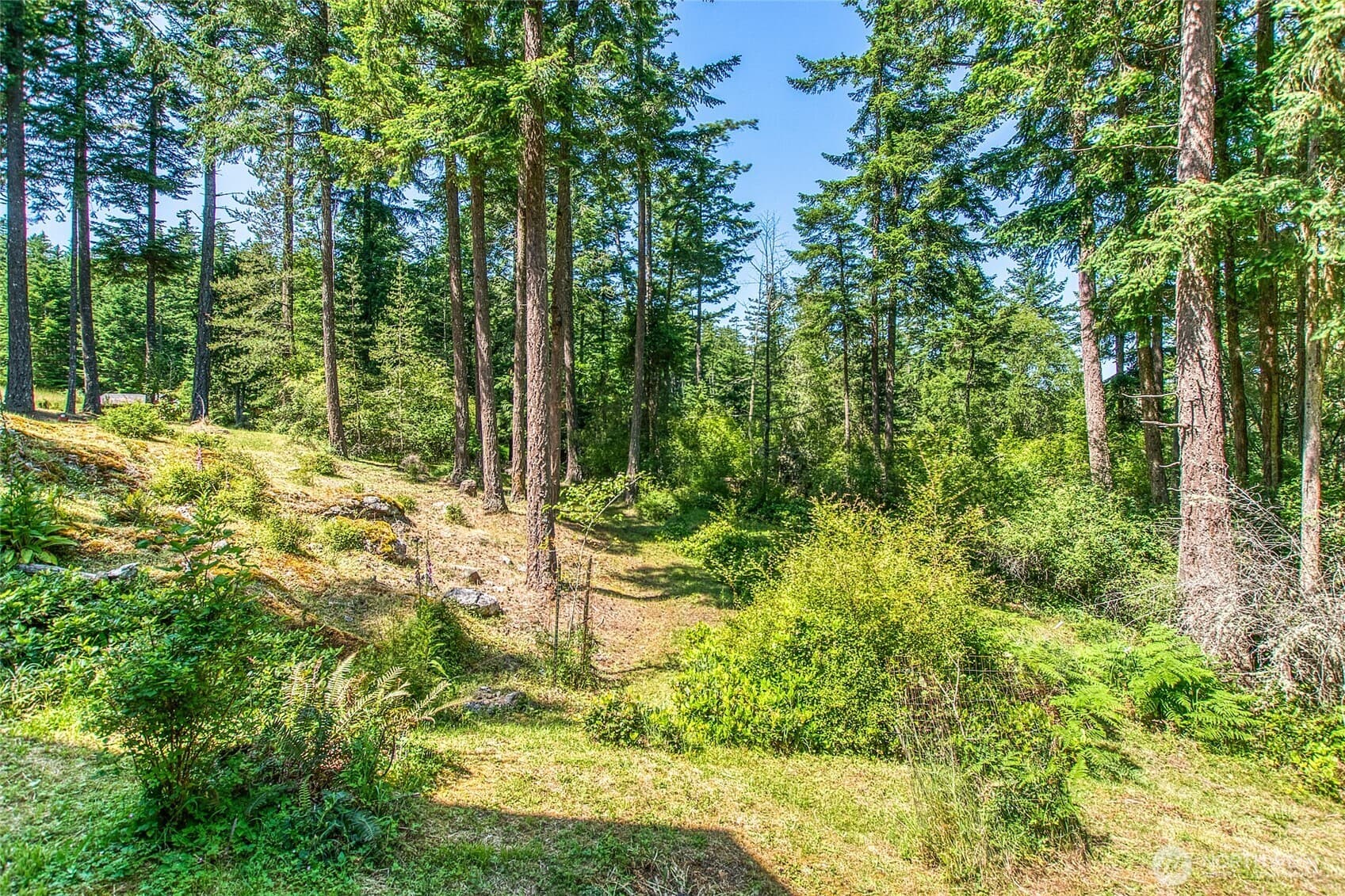Property photo 28