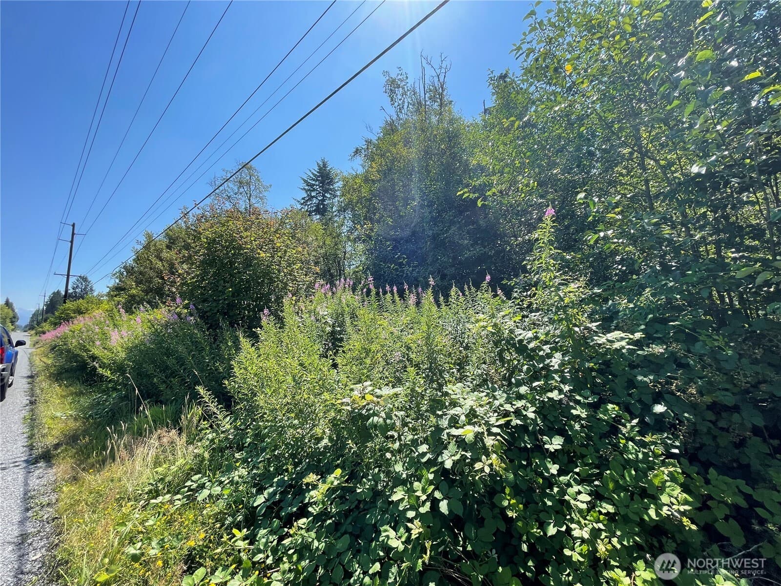 Property photo 22