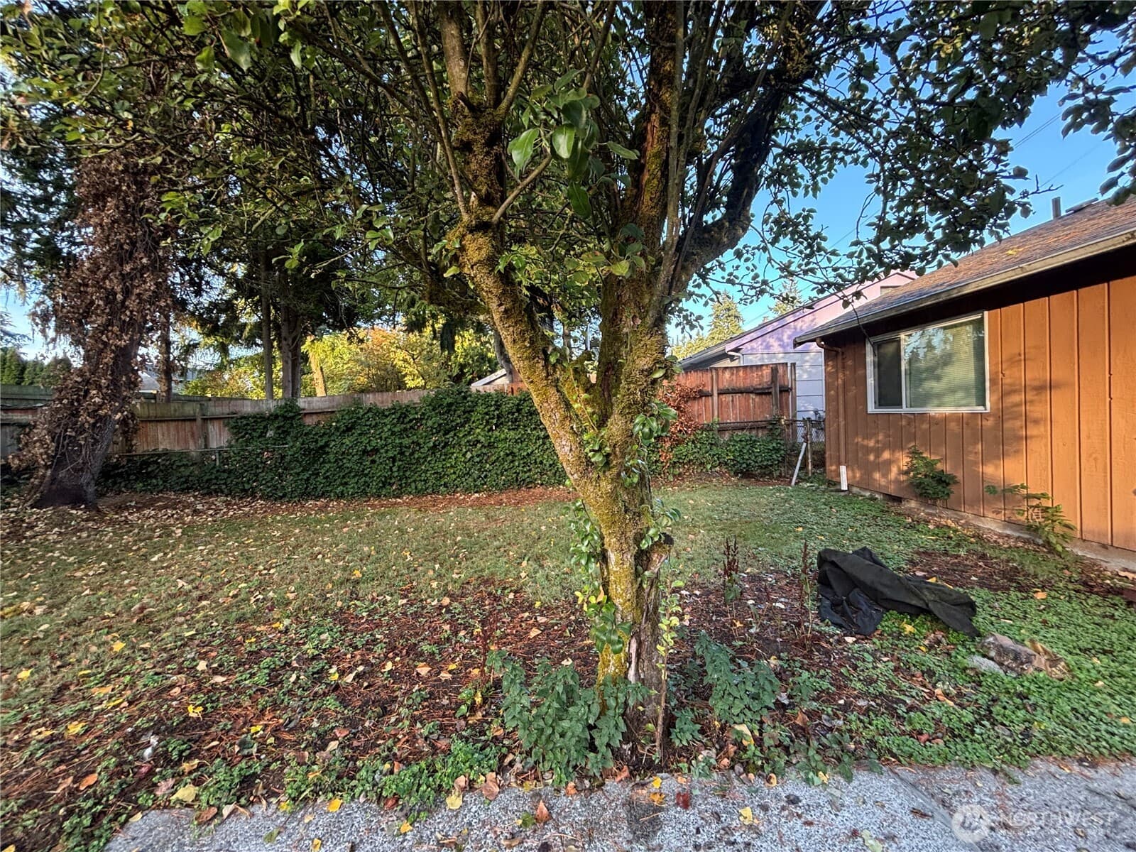 Property photo 22
