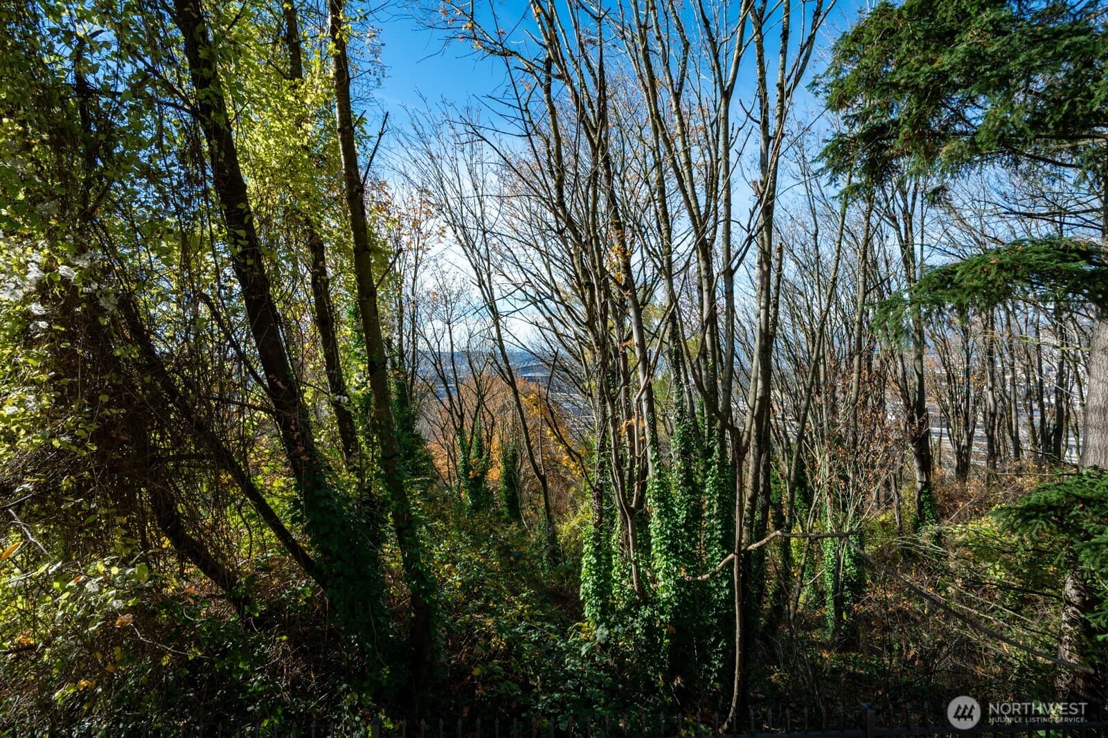 Property photo 28