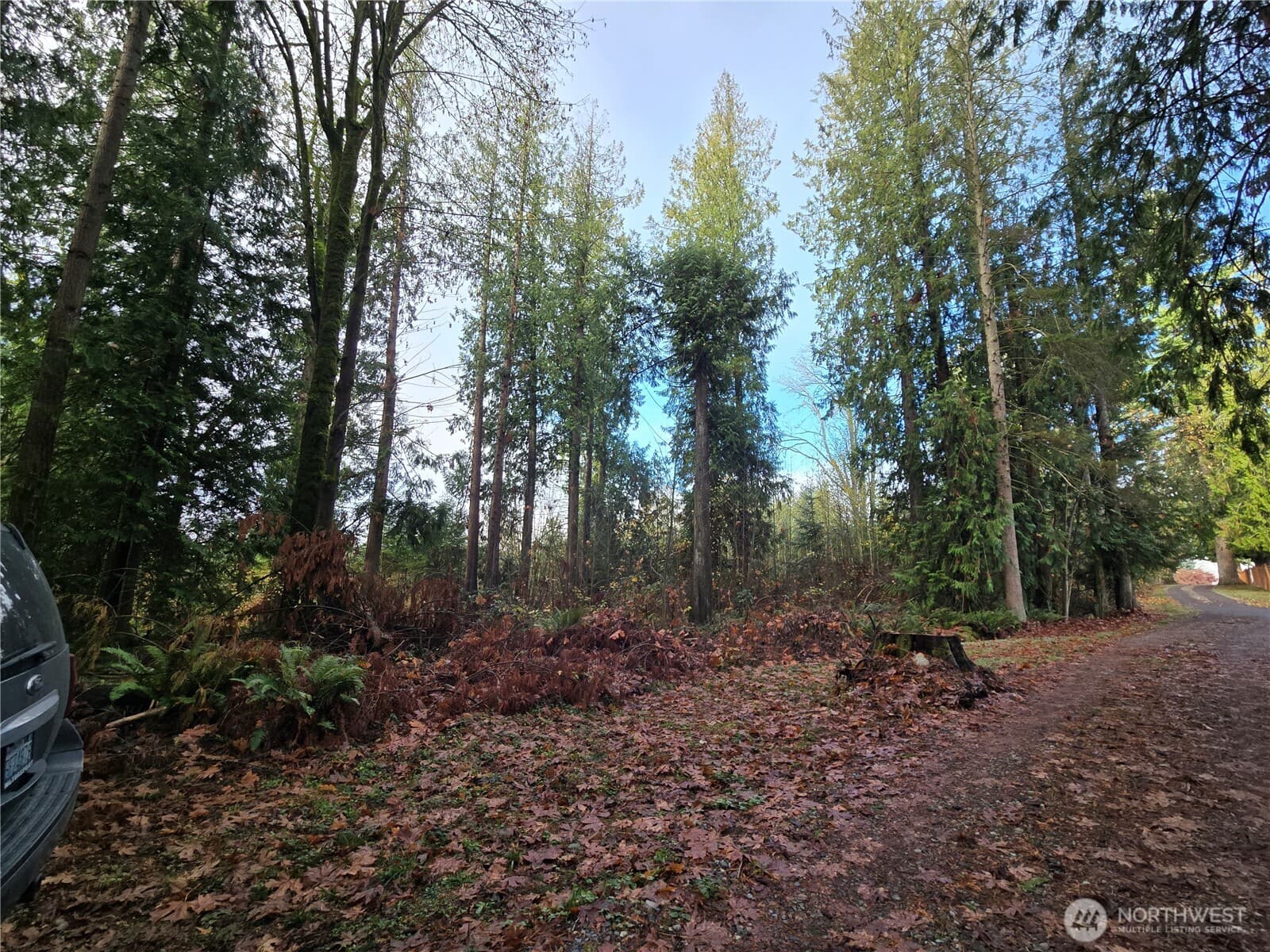 Property photo 18