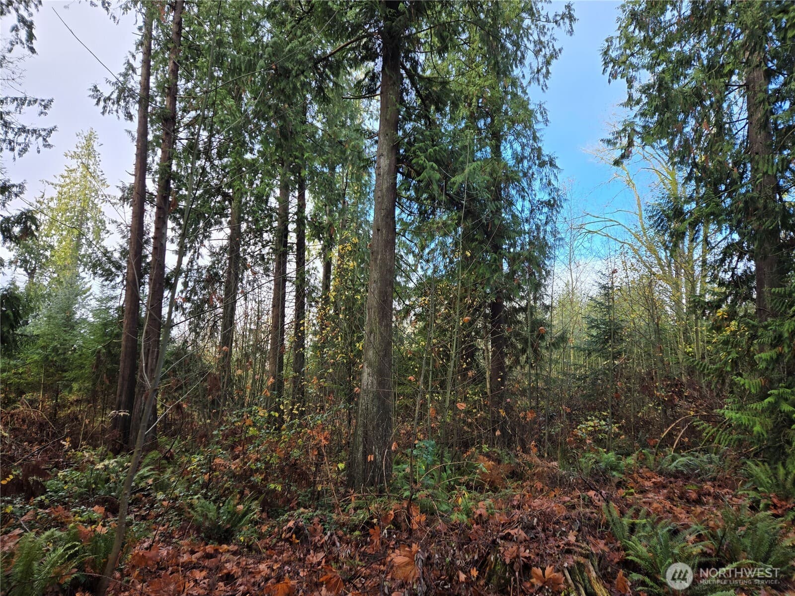Property photo 21