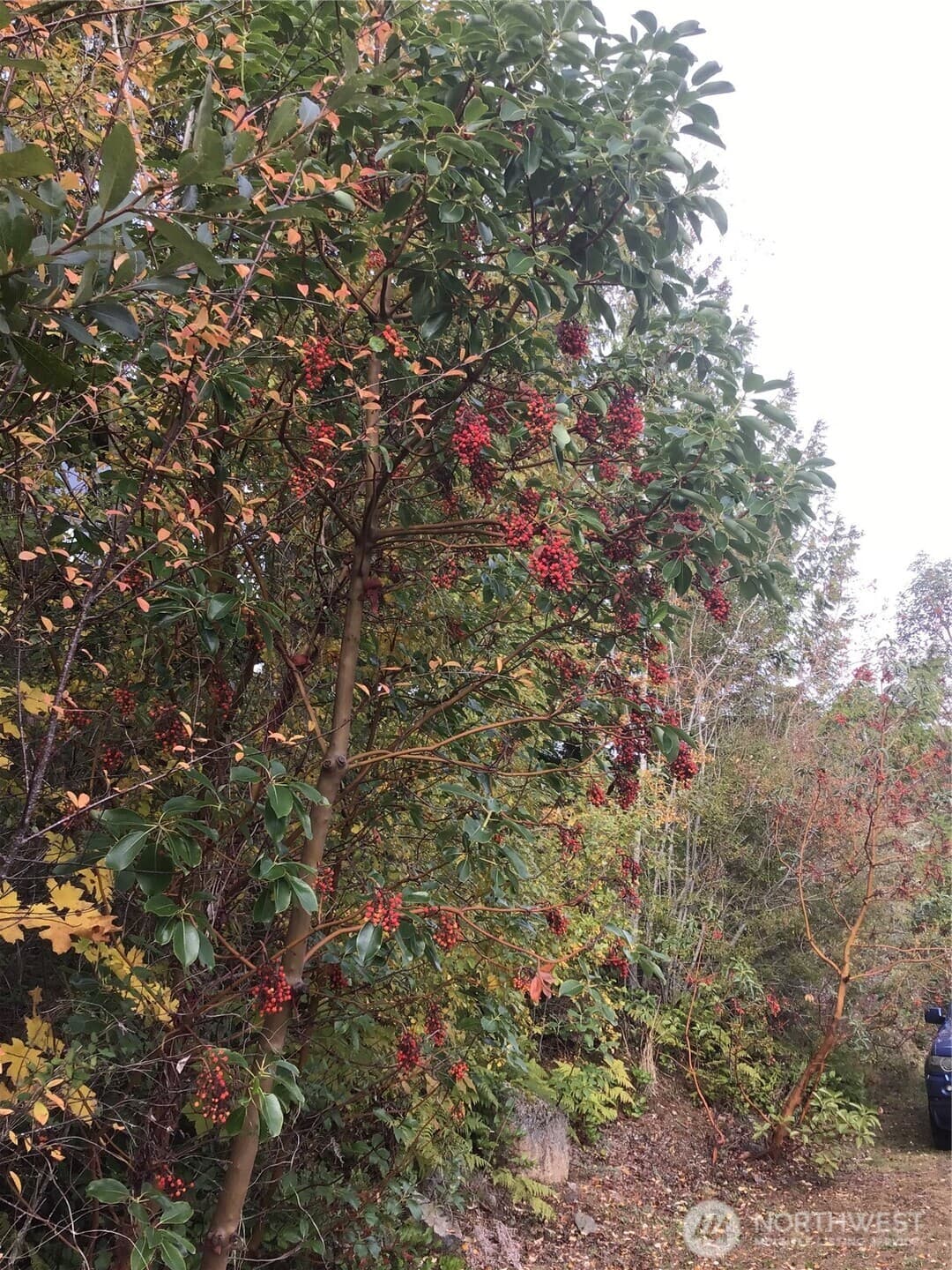 Property photo 22