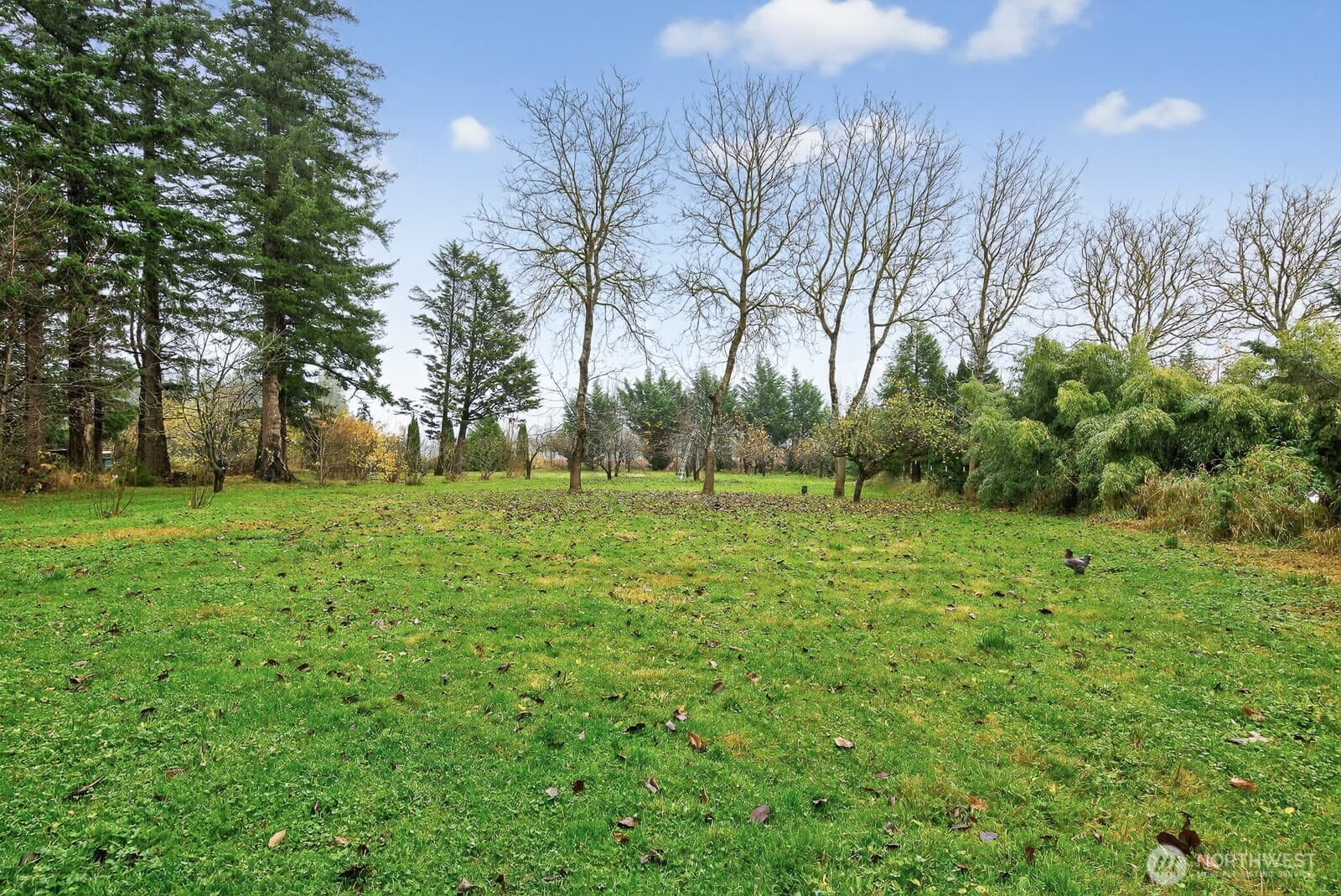 Property photo 34