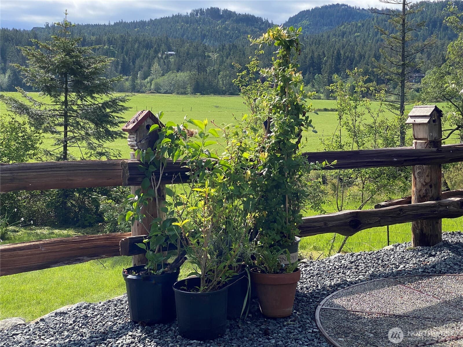 Property photo 35
