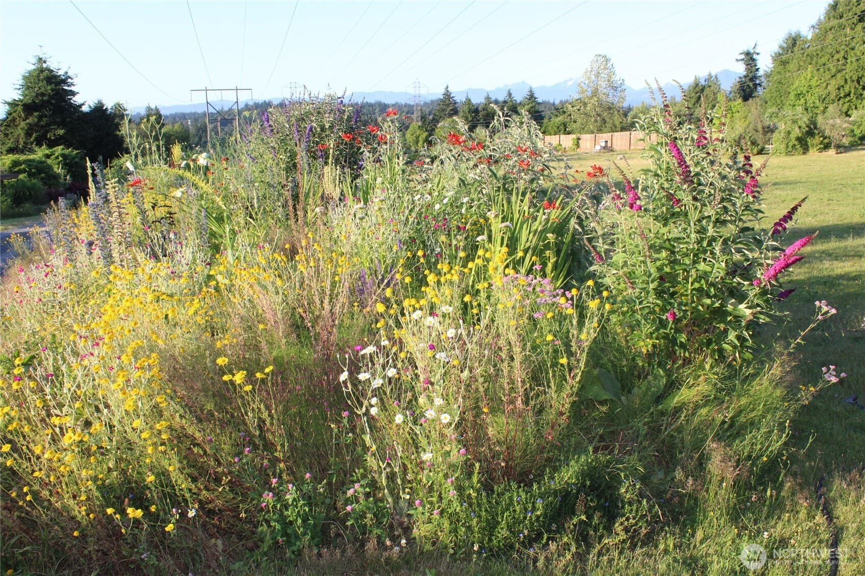 Property photo 36