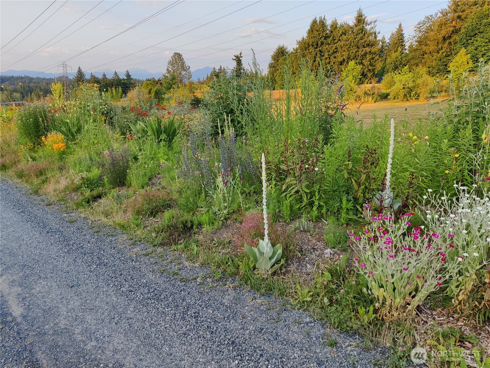 Property photo 37
