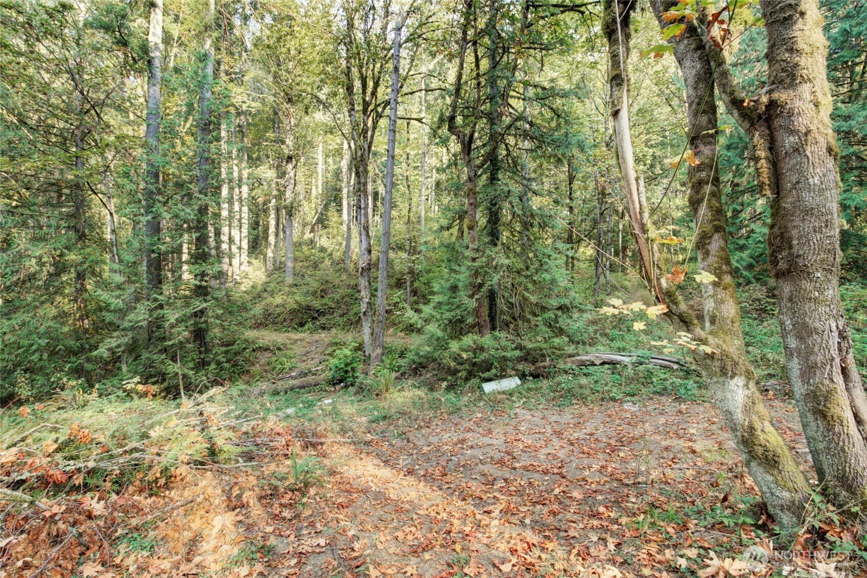 Property photo 21
