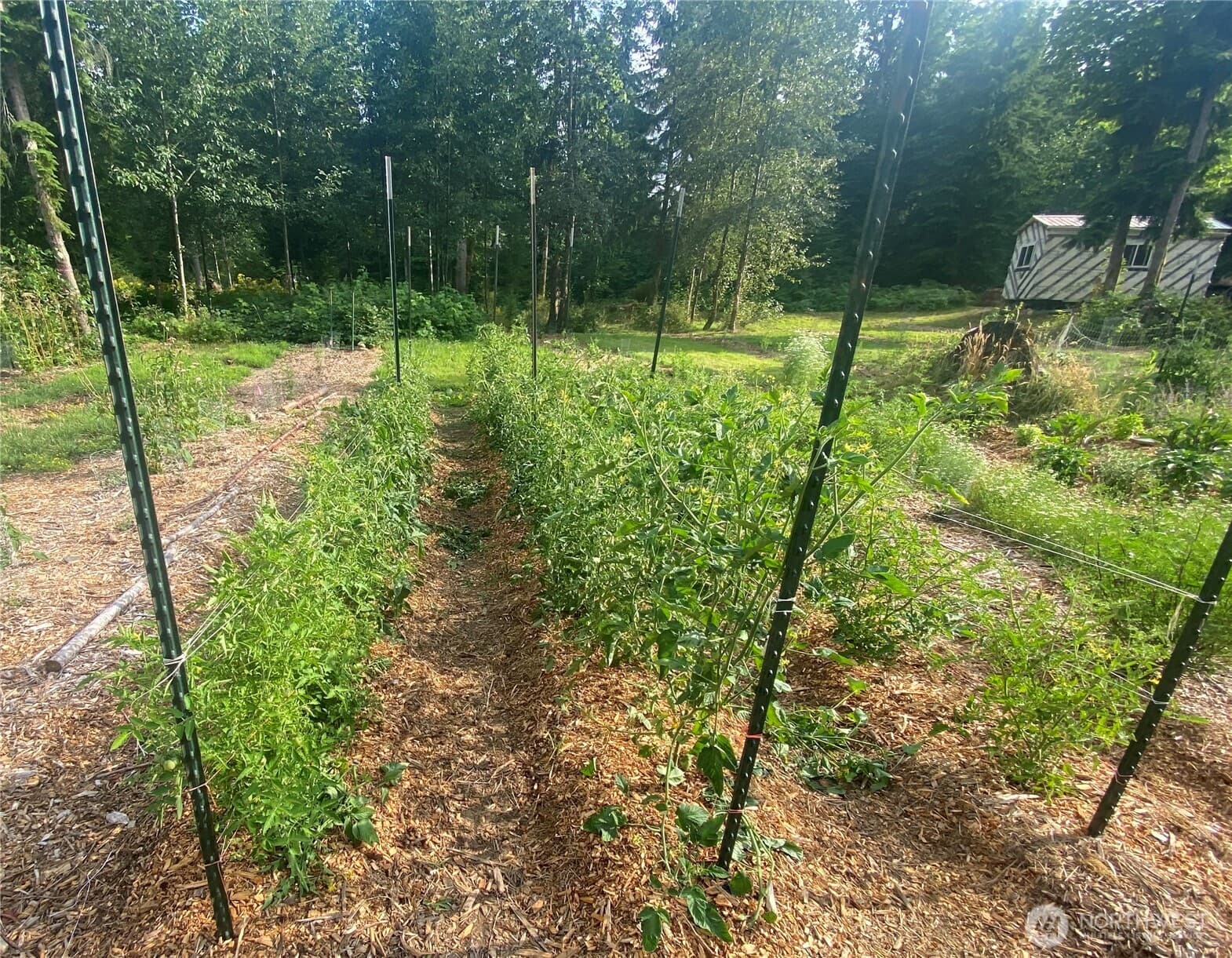 Property photo 9