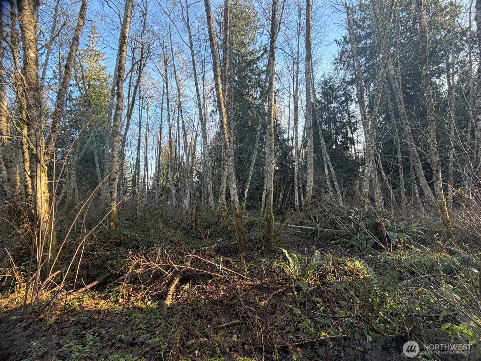 Property photo 12
