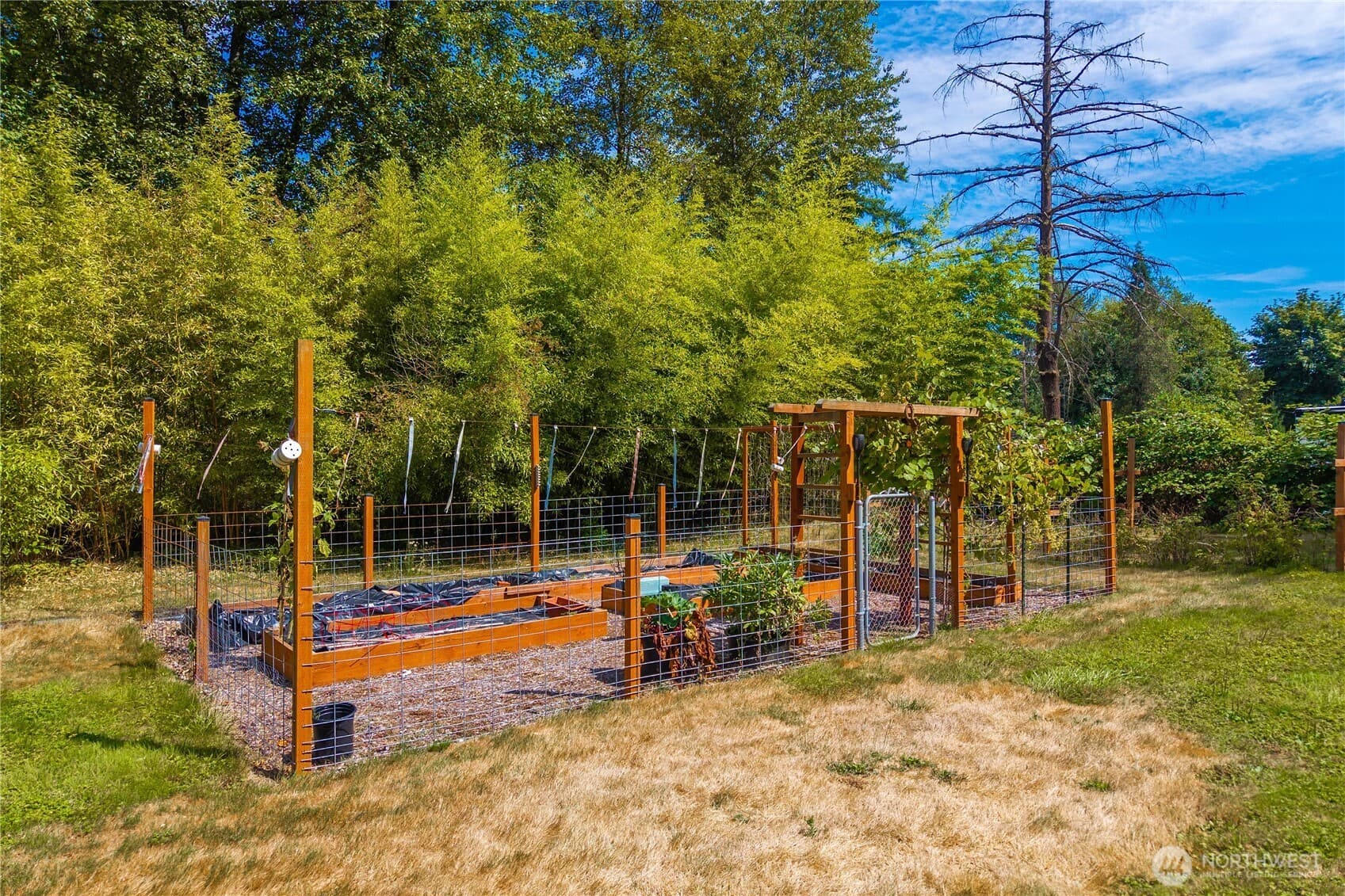 Property photo 22