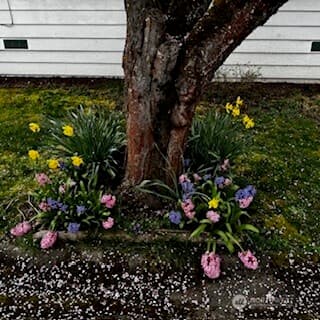 Property photo 32