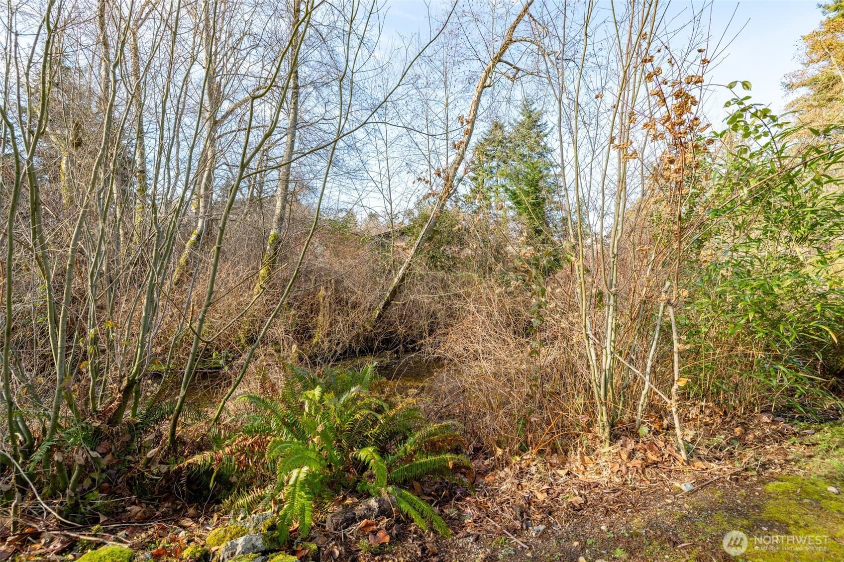 Property photo 38