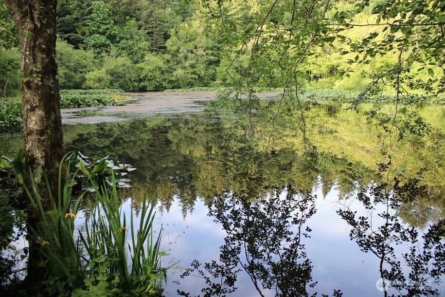 Property photo 29