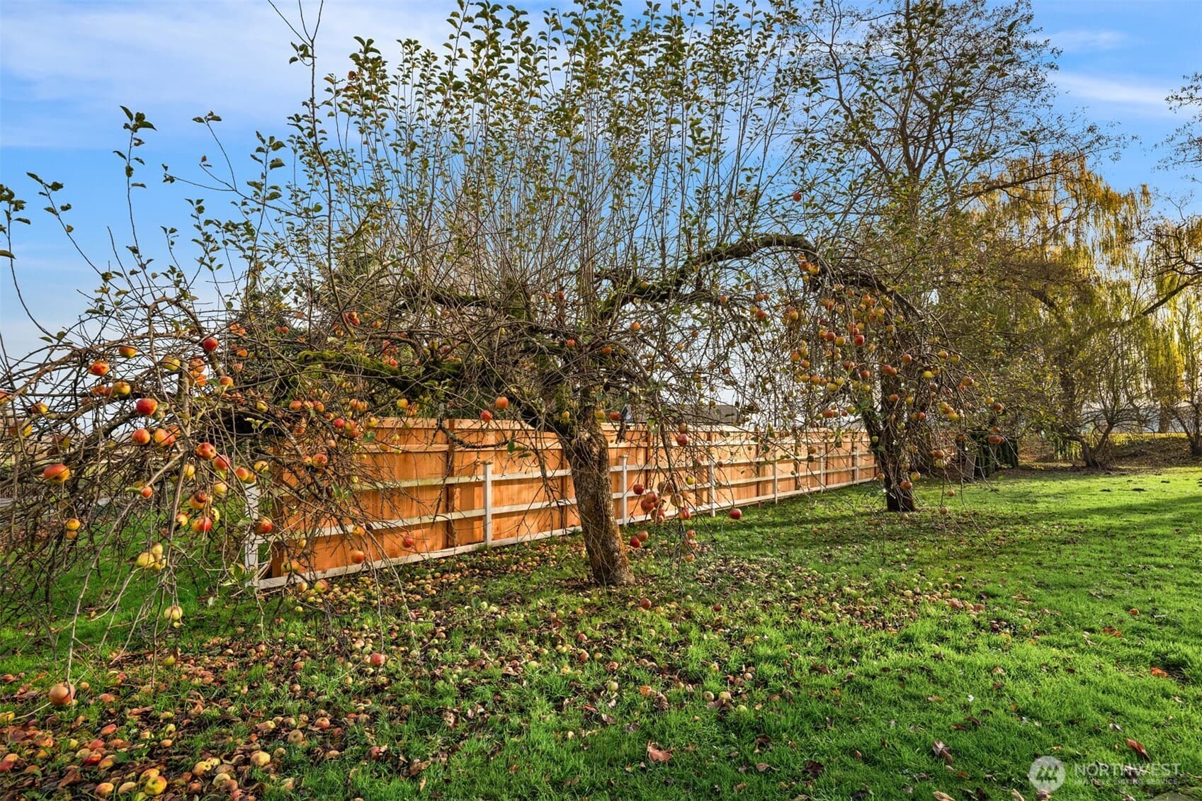 Property photo 30