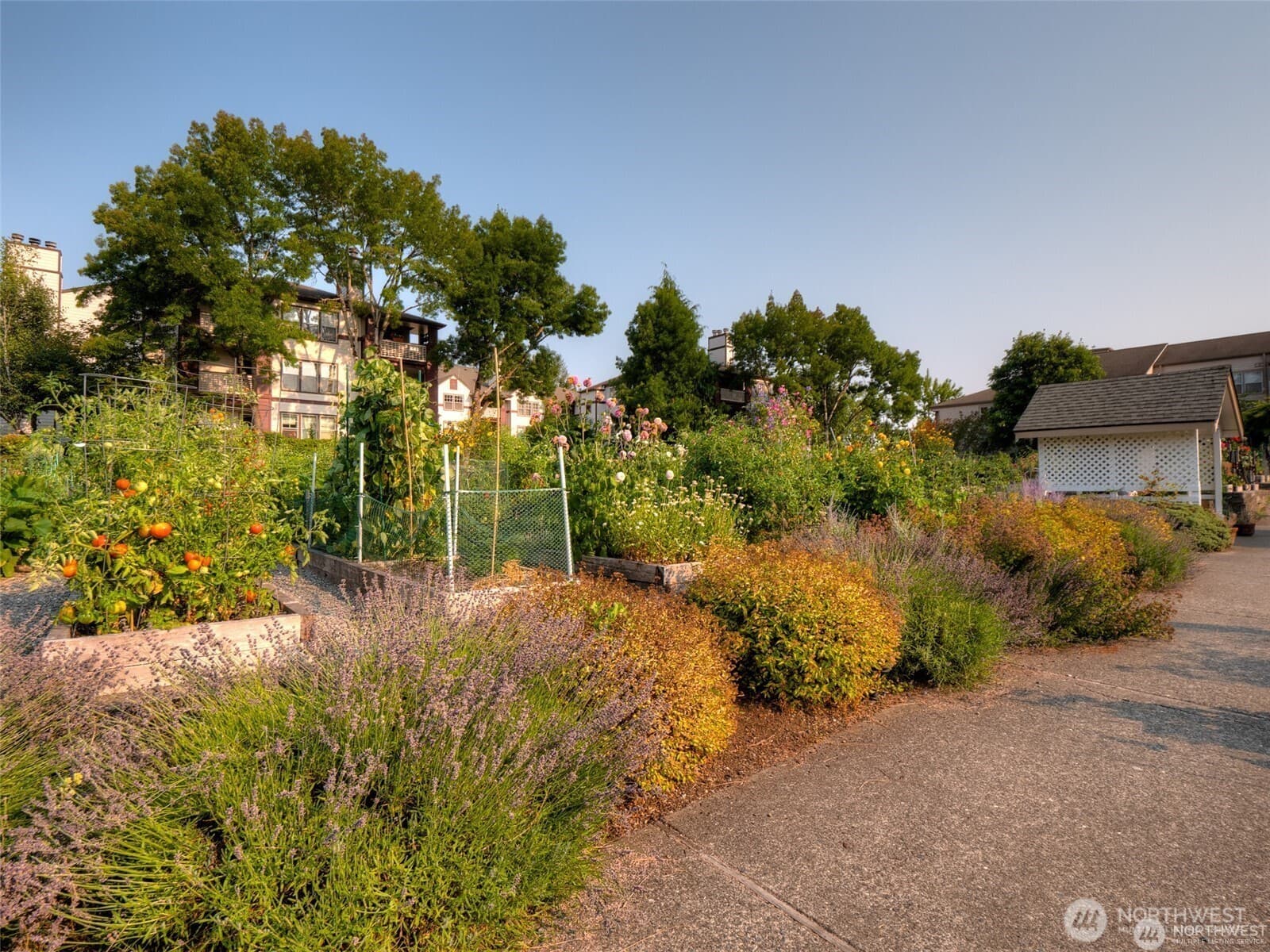 Property photo 29