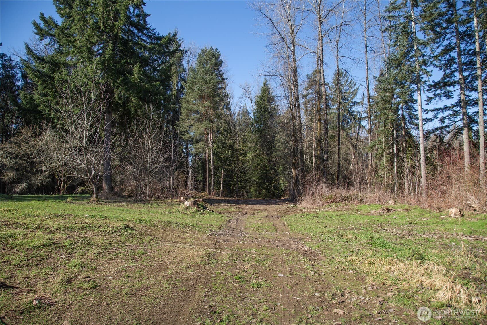 Property photo 35