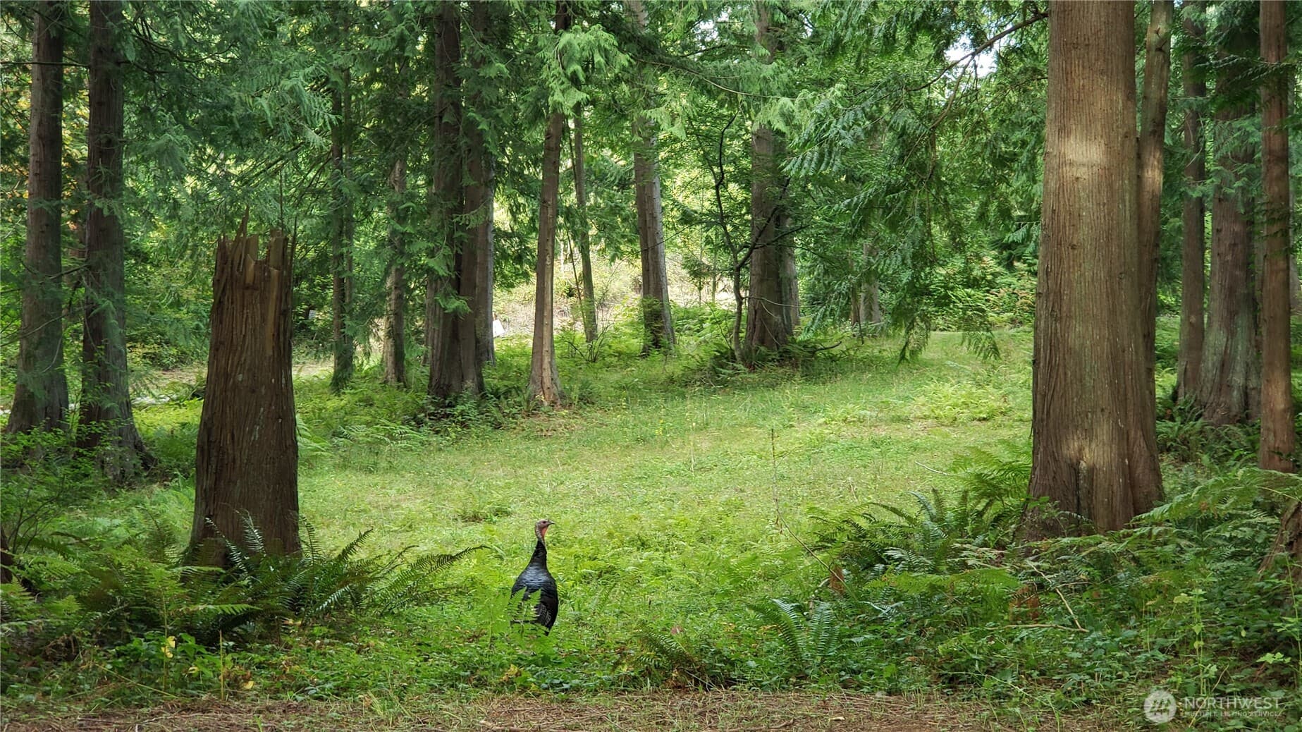 Property photo 33