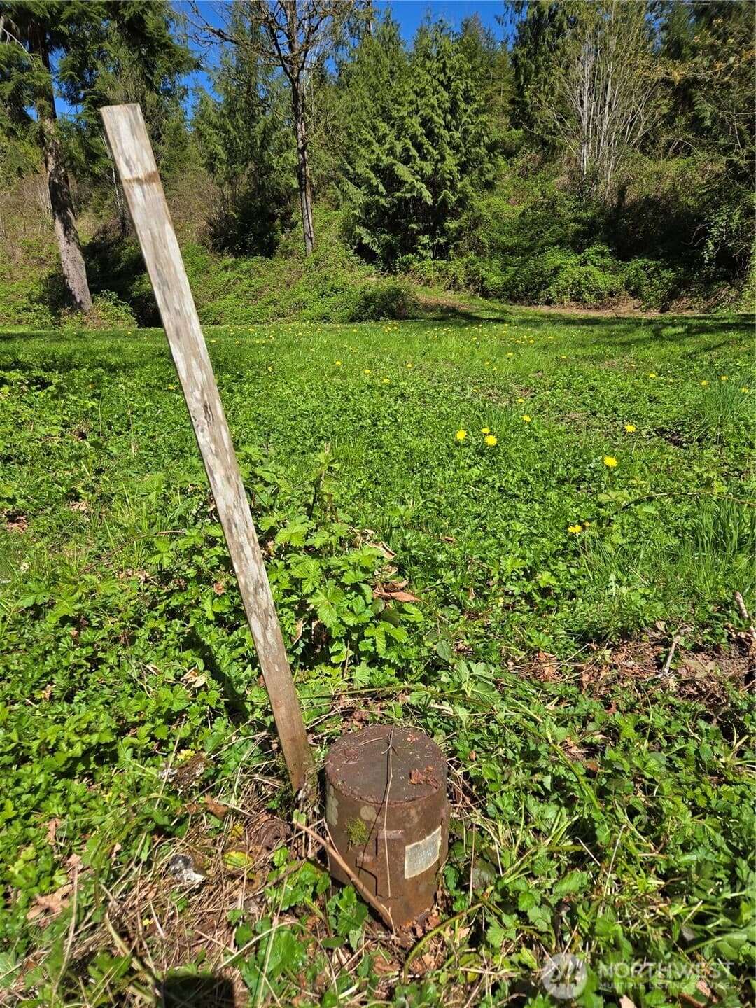 Property photo 40
