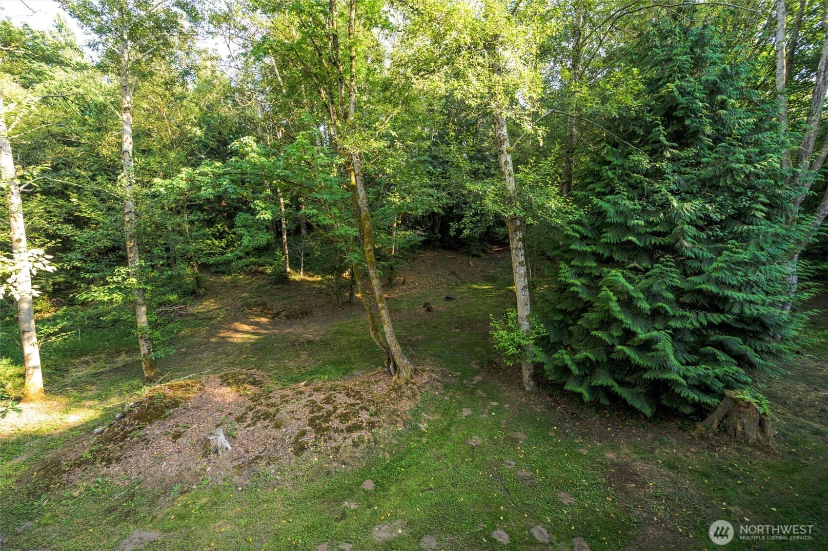 Property photo 36