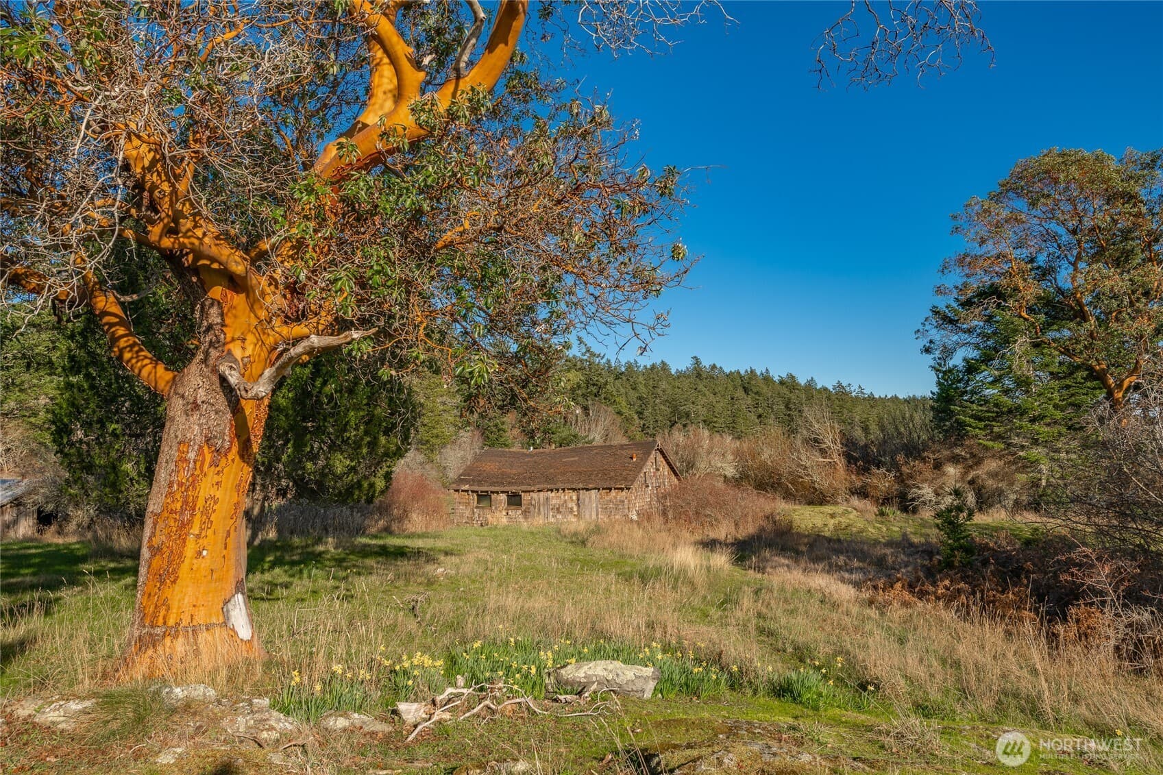 Property photo 38