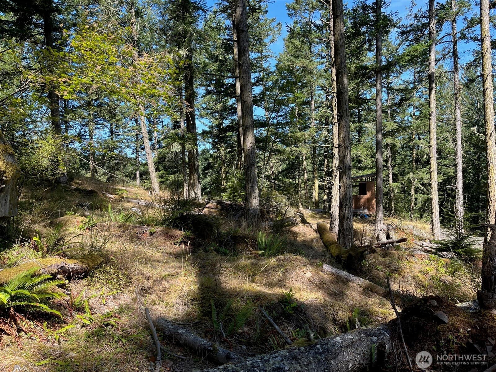 Property photo 20