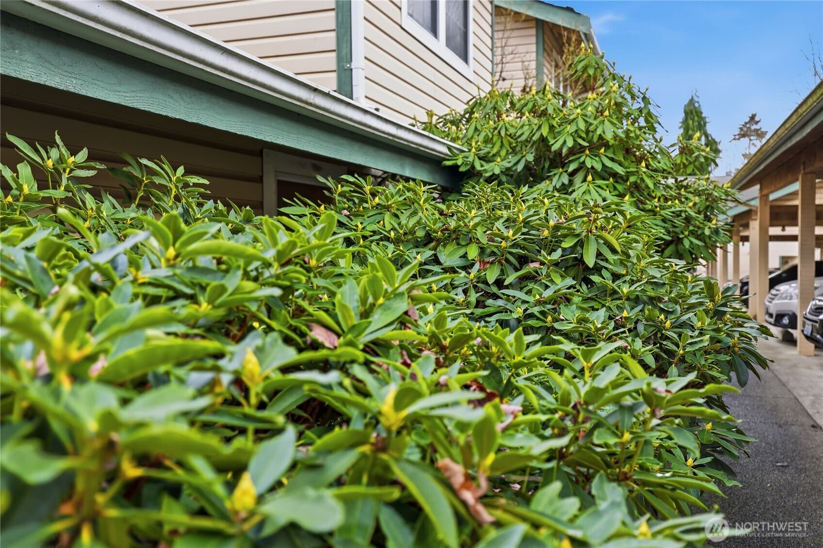 Property photo 30