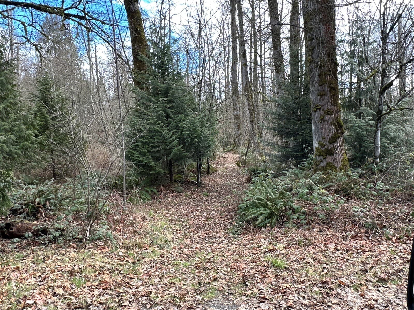 Property photo 16