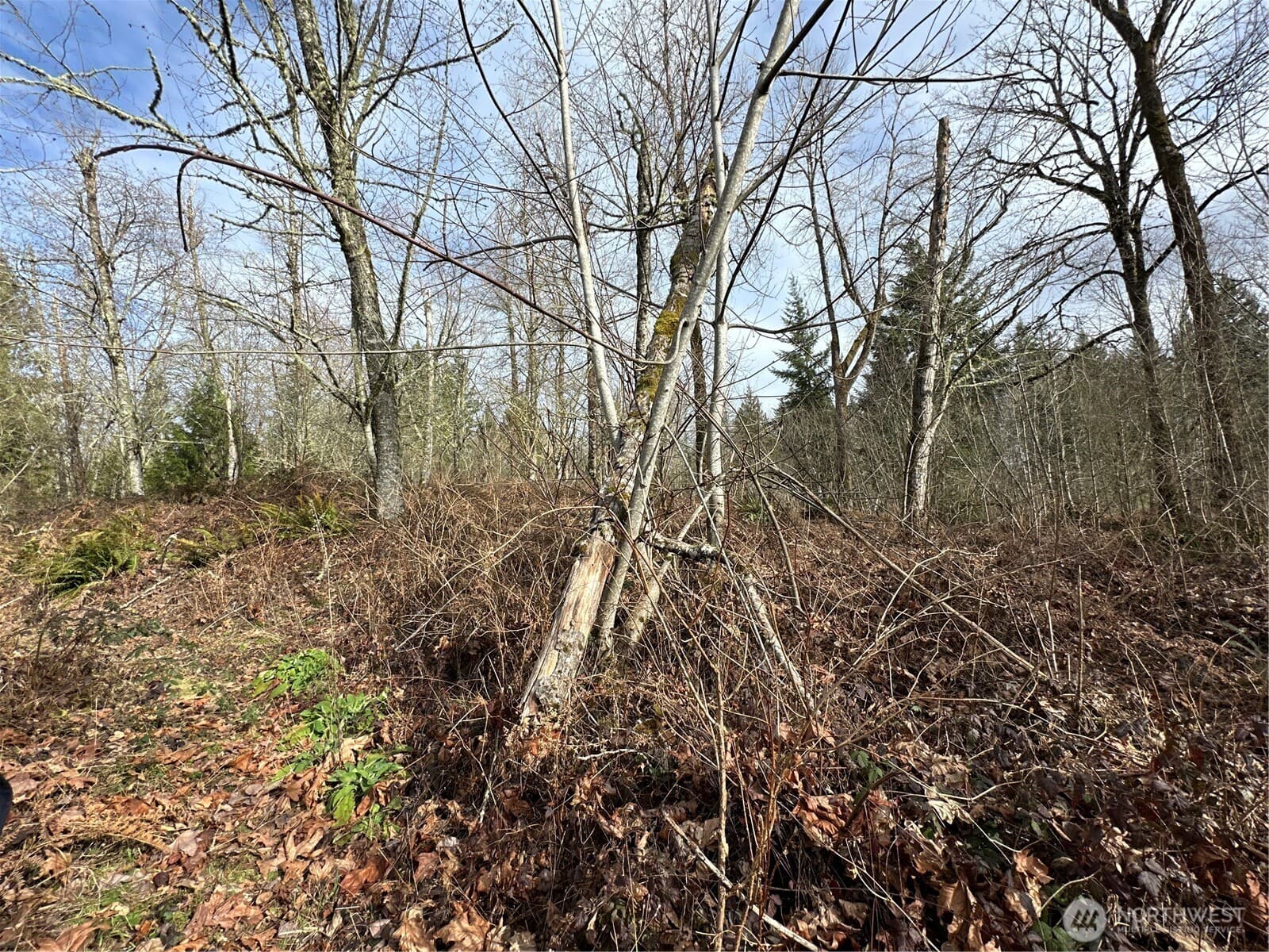 Property photo 22