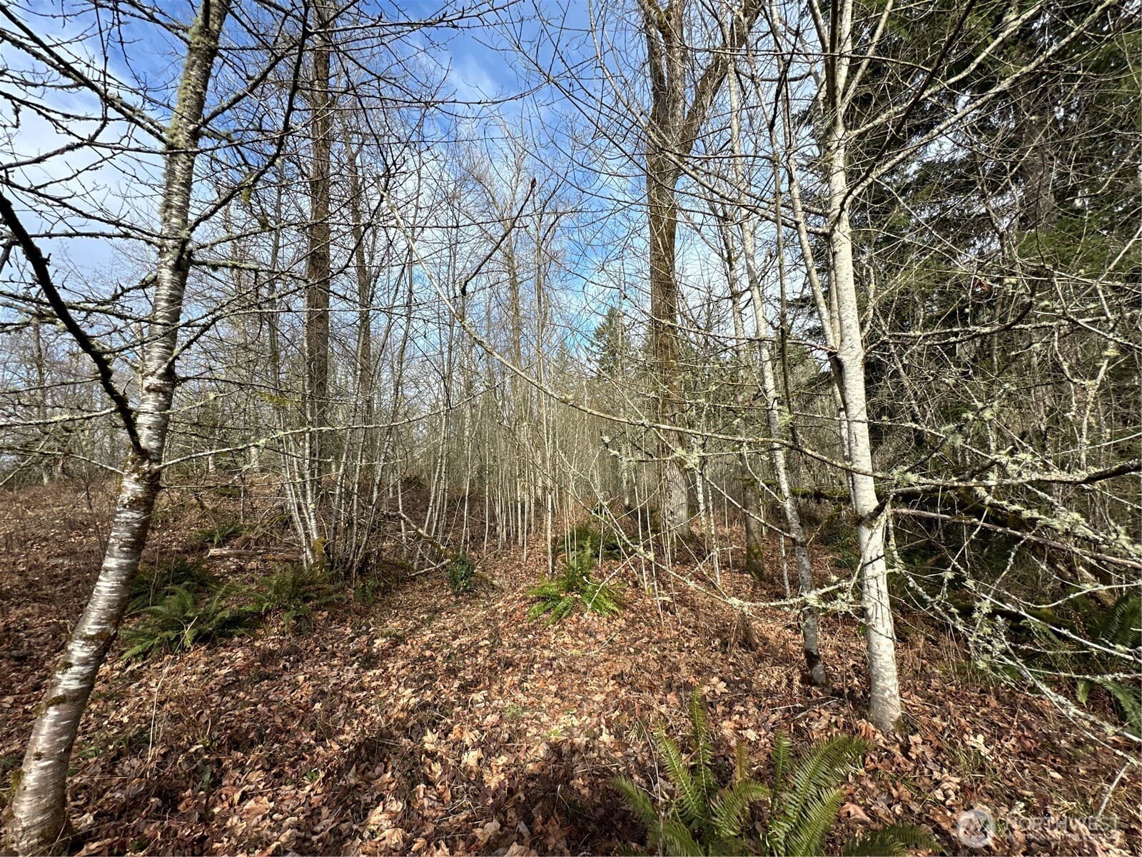Property photo 23