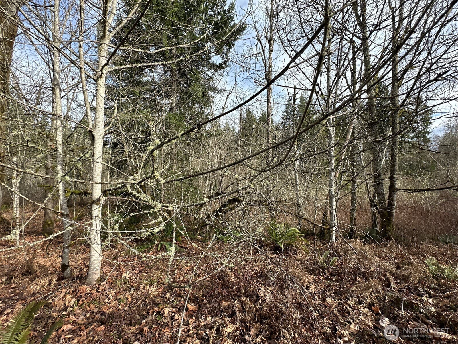 Property photo 24