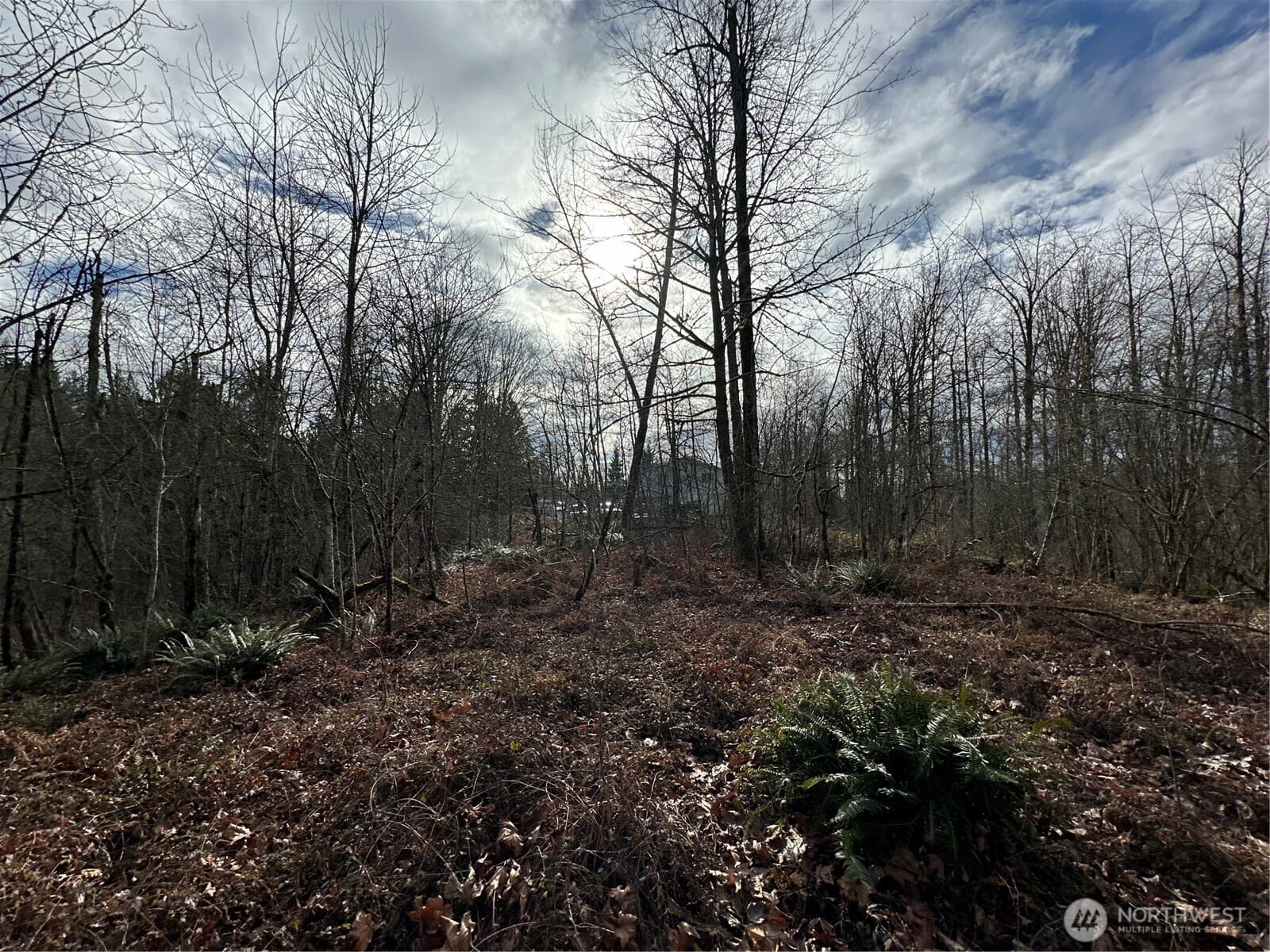 Property photo 28