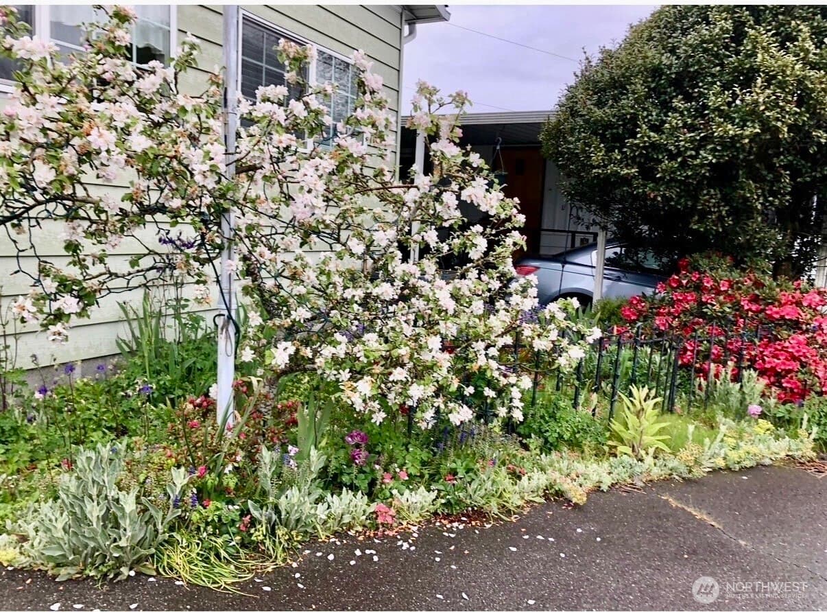 Property photo 29