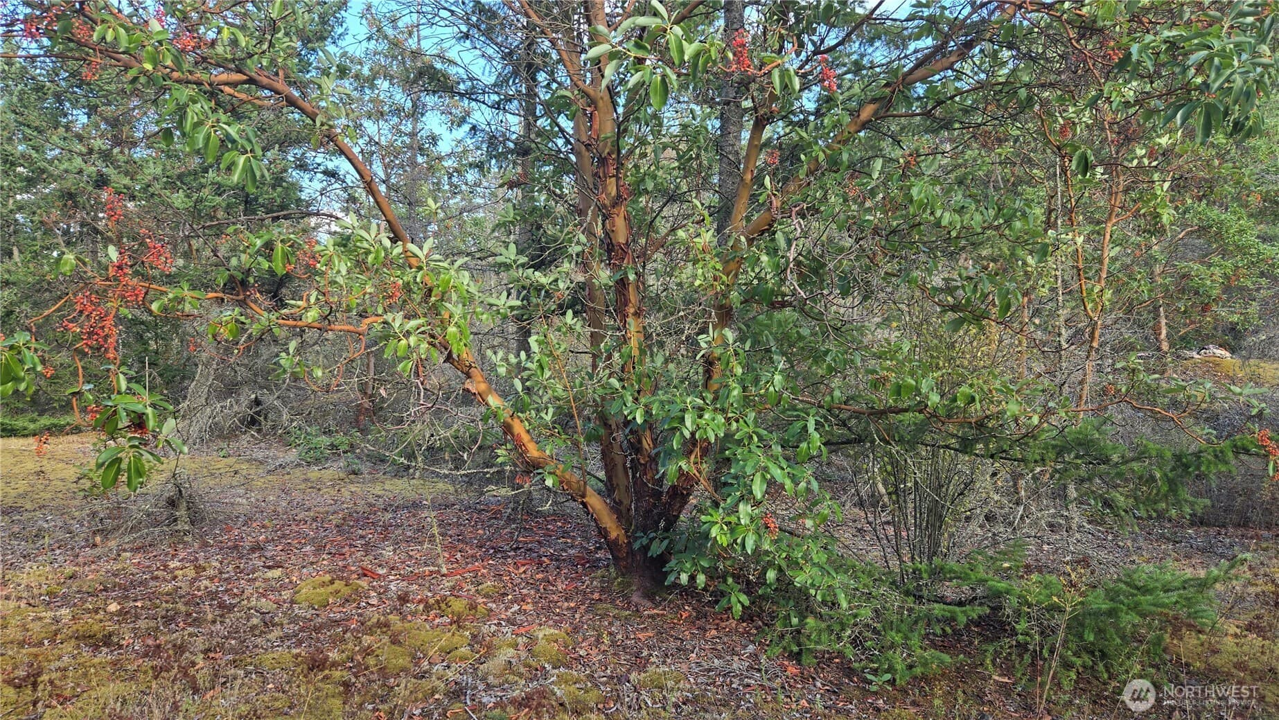 Property photo 19