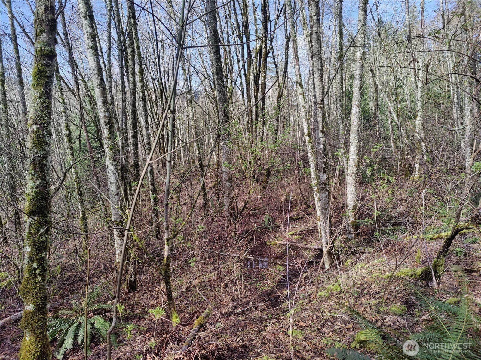 Property photo 21