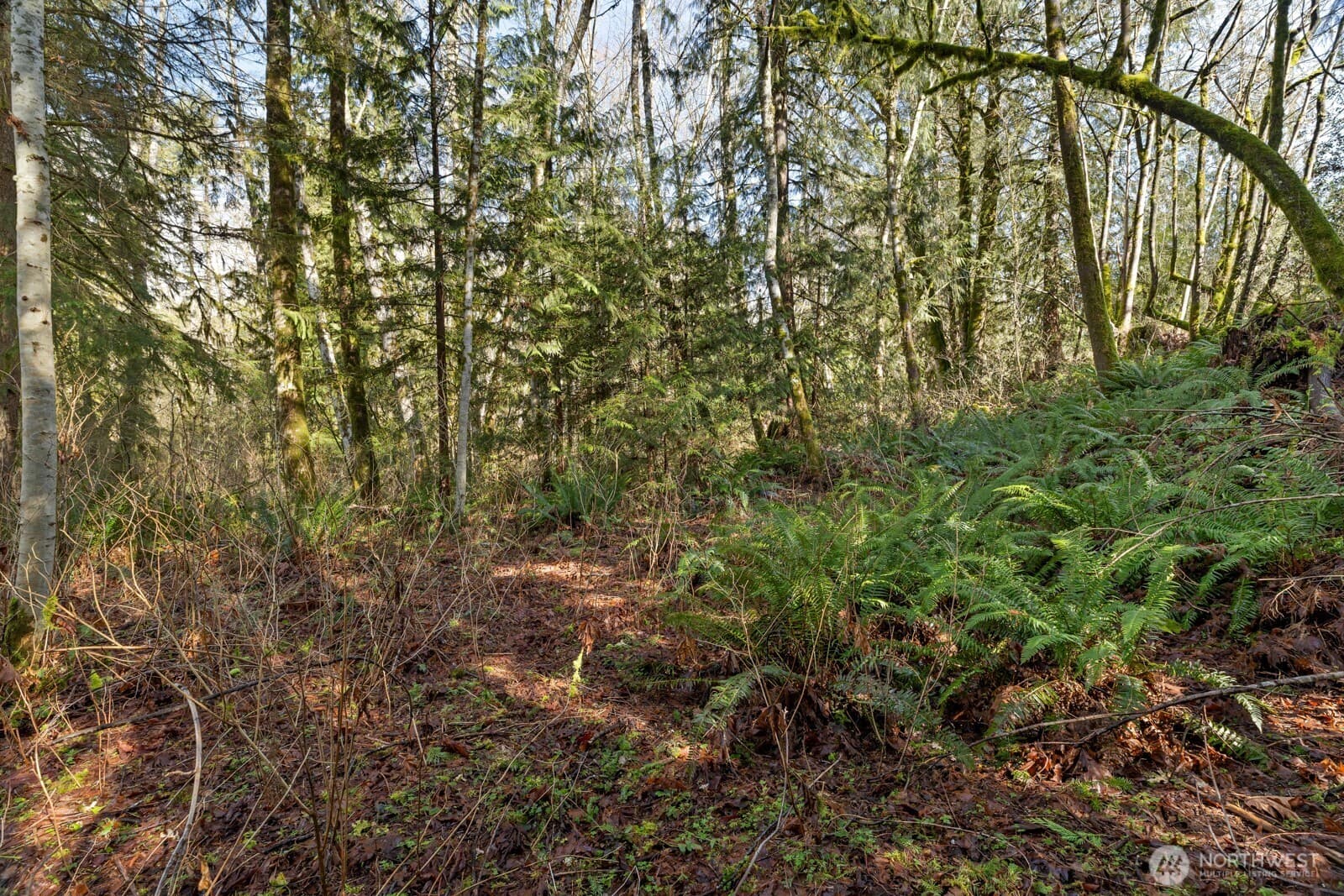 Property photo 31