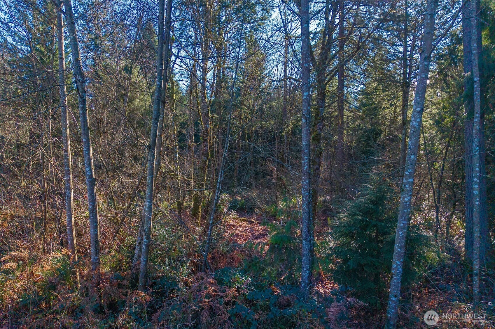 Property photo 13