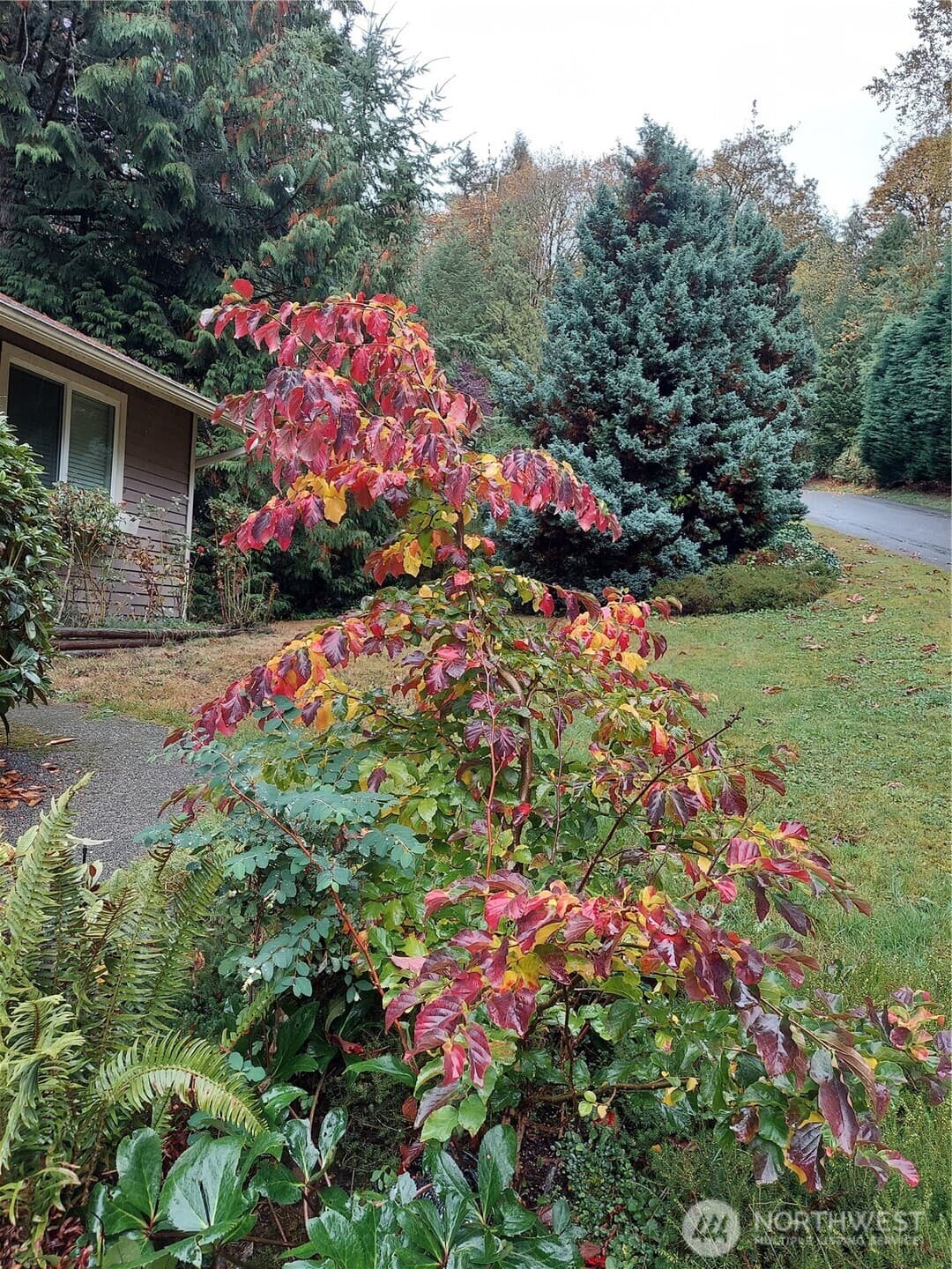 Property photo 35