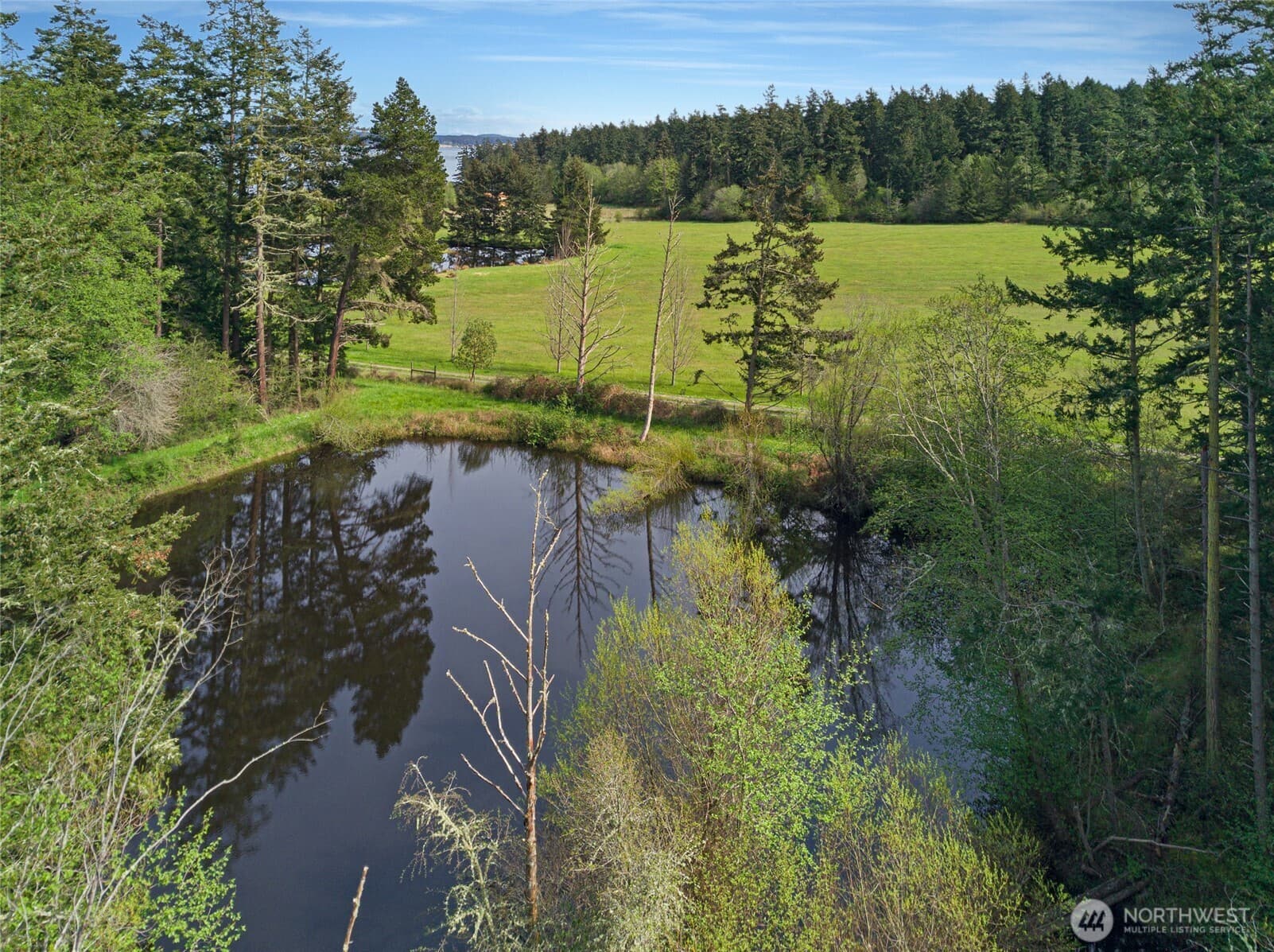Property photo 40