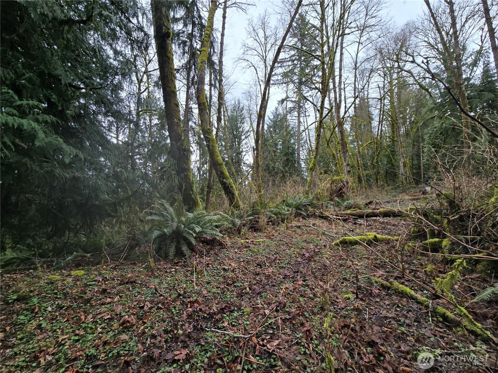 Property photo 21