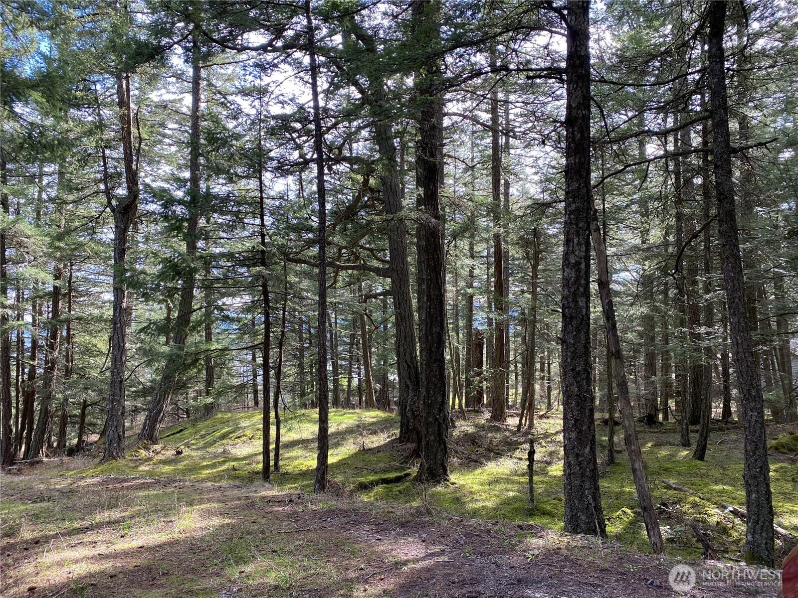 Property photo 26