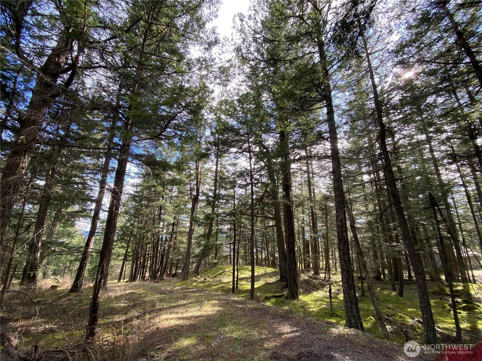 Property photo 27