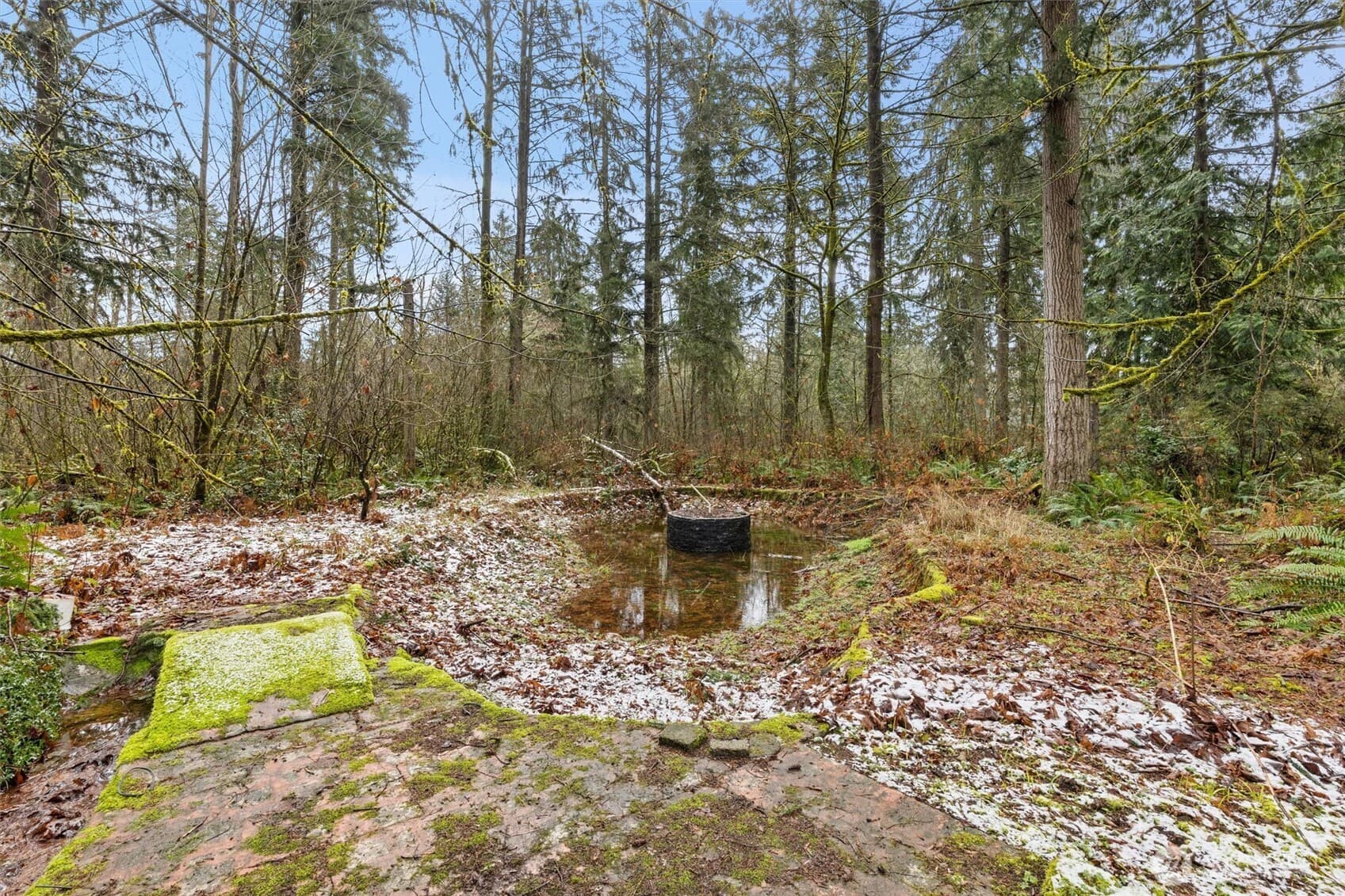 Property photo 35