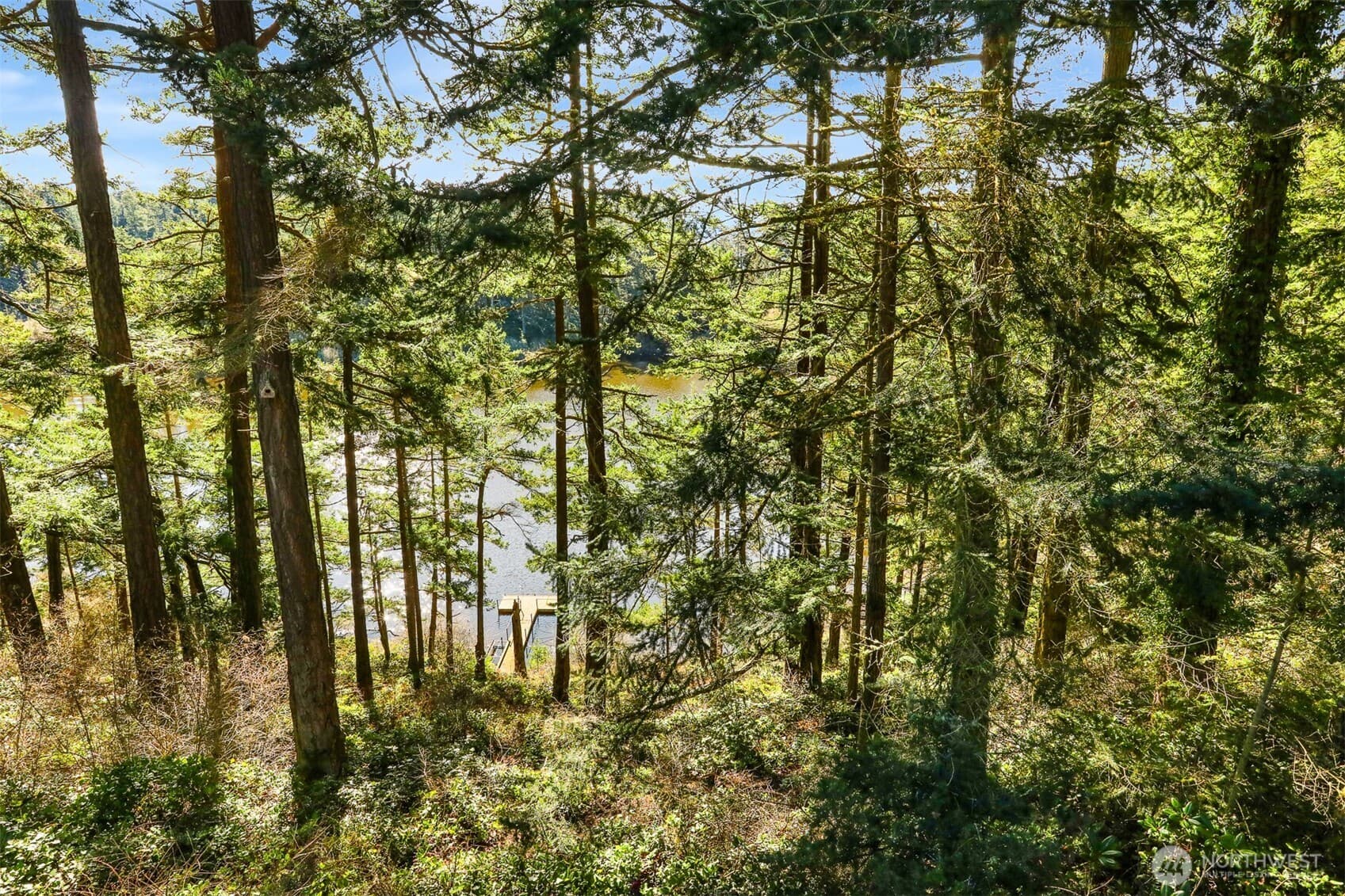 Property photo 35