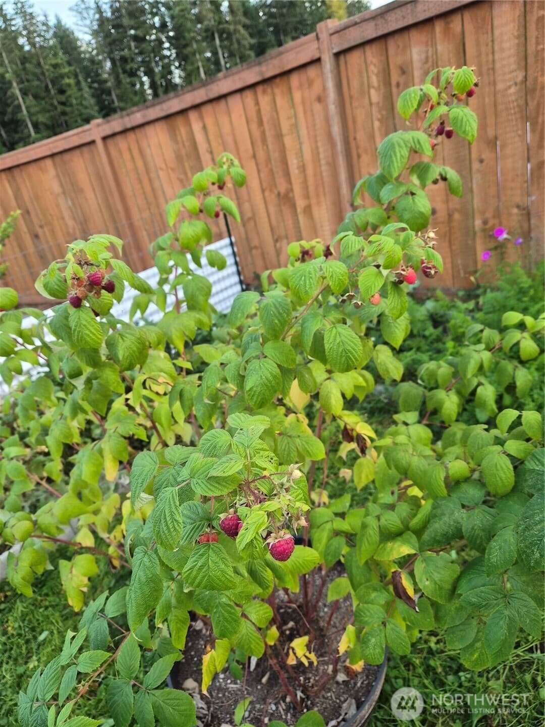 Property photo 25