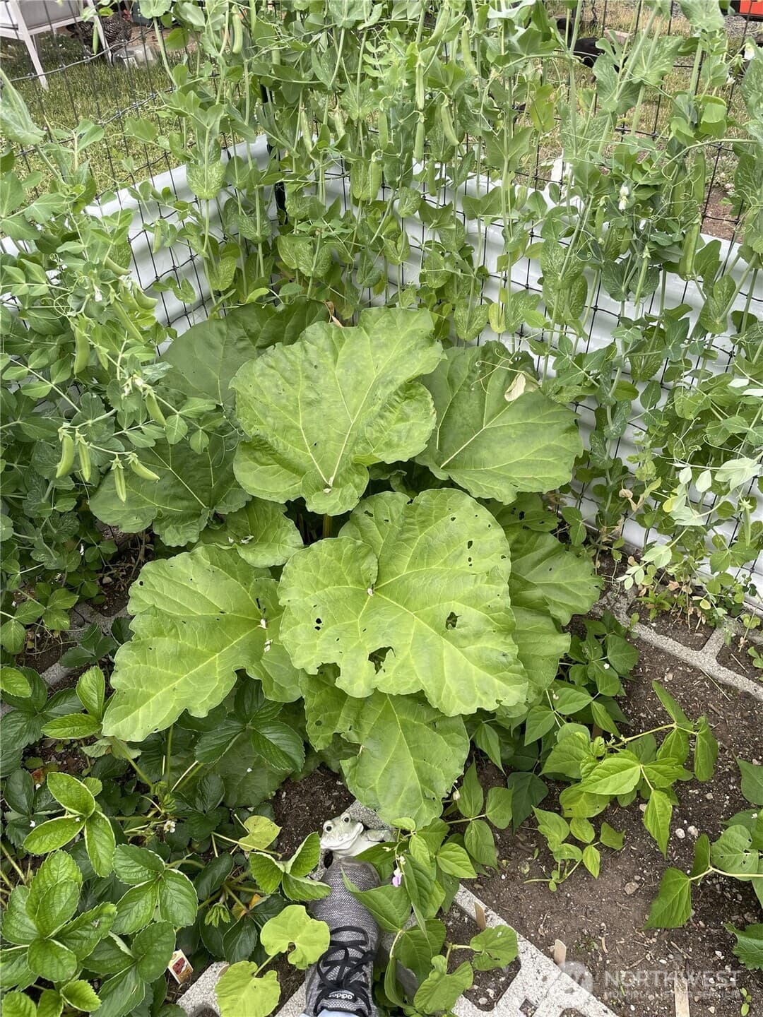 Property photo 28